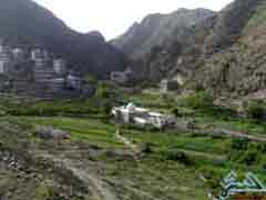 ��� ���� 