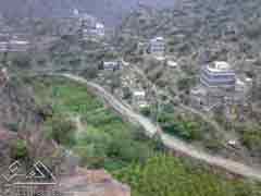 ��� ���� �� ���� ����