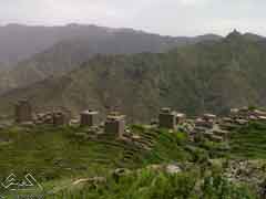 ���� ������ ����