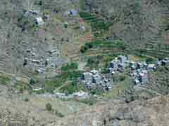 ���� ������ ����