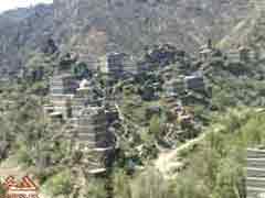 ��� ���� �� ���� ����