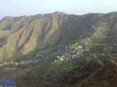 ���� ������ ����