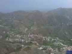 ���� ������� ����