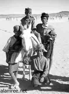 �� ����� 1934