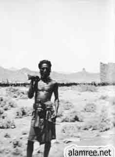 ��� ���� ����� �������