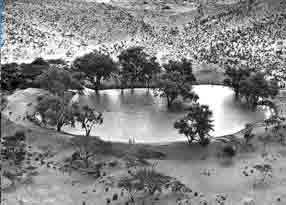 ������� ���� �� �������� �� ����� ������