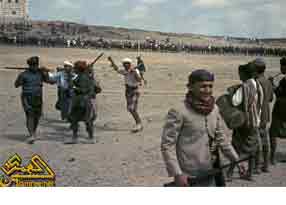 ������ ����:������ 1964