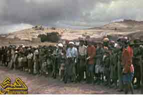 ������ ��� 1960