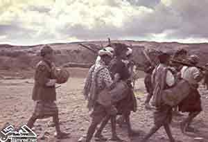 ������ ��� ����� 1964