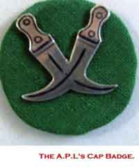 ���� ������ ��� ��� ����