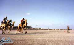 ������ ����� ������� ������� ��� 1964