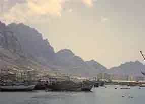 ������ ��� 1964