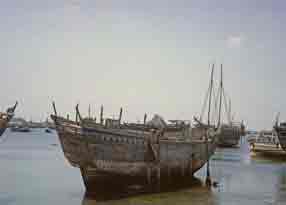 ������ ��� ��� 1964