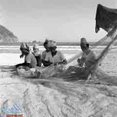 ����� ������ �� ���������