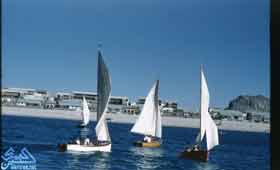 ���� ������ �������� �� ������ 