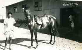 ��� �� ������� ������� �� ��������