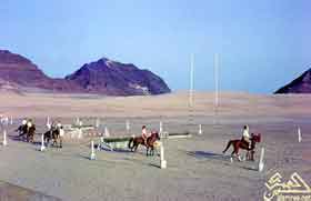 ����� ��� 1964 