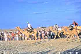 ������� ��� 1955