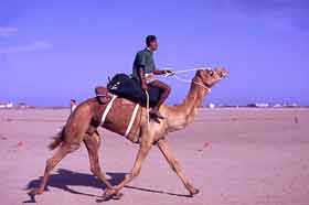 ������ ����� ������� ������� ��� 1958