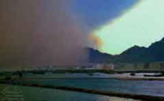 ����� ����� "����" ���� ���� ������ �� ���������