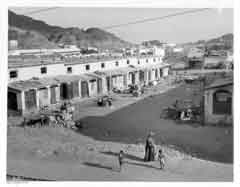 ���� ������ ��� ��� ����