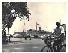 ���� ������ ��� ��� ����