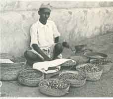 ���� ������ ��� ��� ����