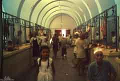 ���� ������ ��� ��� ����