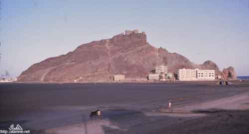 ���� ������ ��� ��� ����