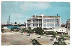 ���� ������ ��� ��� ����