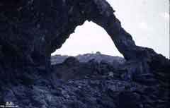 ���� ������ ��� ��� ����