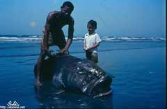 ���� ������ ��� ��� ����