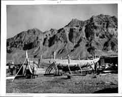 ���� ������ ��� ��� ����