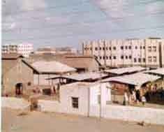 ���� ������ ��� ��� ����