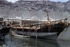 ���� ������ ��� ��� ����