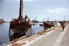 ���� ������ ��� ��� ����