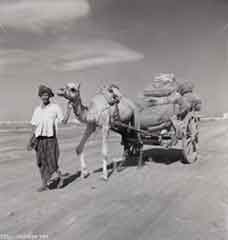 انقر للحصول على حجم اكبر