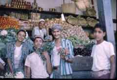 ���� ������ ��� ��� ����