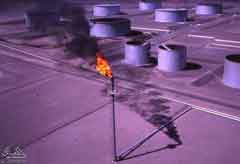 ���� ������ ��� ��� ����