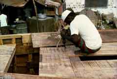 ���� ������ ��� ��� ����