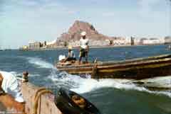 ���� ������ ��� ��� ����