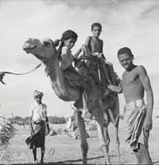 ���� ������ ��� ��� ����