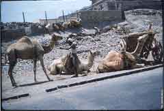 ���� ������ ��� ��� ����