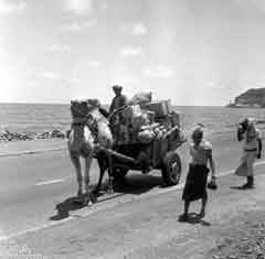 ���� ������ ��� ��� ����