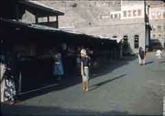 ���� ������ ��� ��� ����