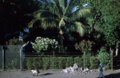 ���� ������ ��� ��� ����