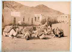 ���� ������ ��� ��� ����