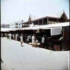 ���� ������ ��� ��� ����