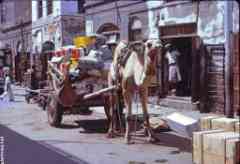 ���� ������ ��� ��� ����