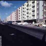 ���� ������ ��� ��� ����